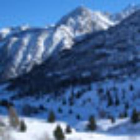 Vyanjan The Family Restaurant